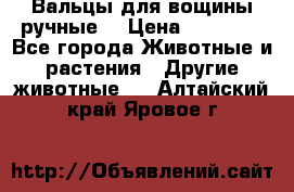 Вальцы для вощины ручные  › Цена ­ 10 000 - Все города Животные и растения » Другие животные   . Алтайский край,Яровое г.